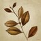 Antiqued Leaves II Poster Print by Lanie Loreth - Item # VARPDX12575